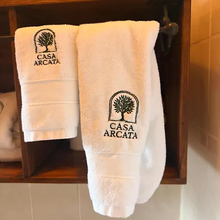 Arcata Podenzana